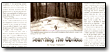 My Article on Metal Detecting in Lost Treasure Magazine