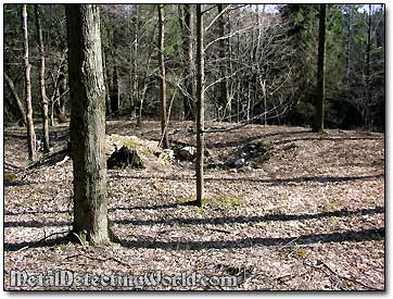 Former Homestead Site with a Cellar Hole - Now a Depression