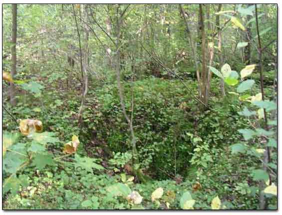 WW2 German Fox-hole