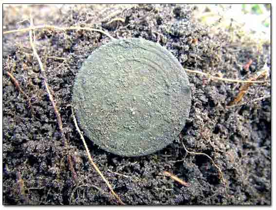 Coin Dug
