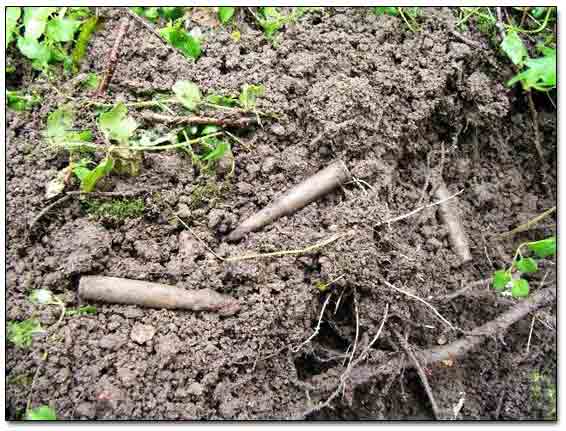 Unfired Rounds For K98 German Rifle