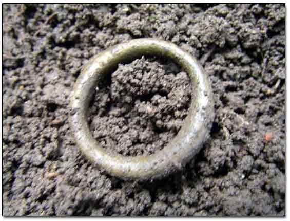 Old Brass Ring