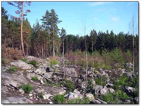 Karelian Terrain