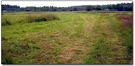 Metal Detecting Site - a Grass Field