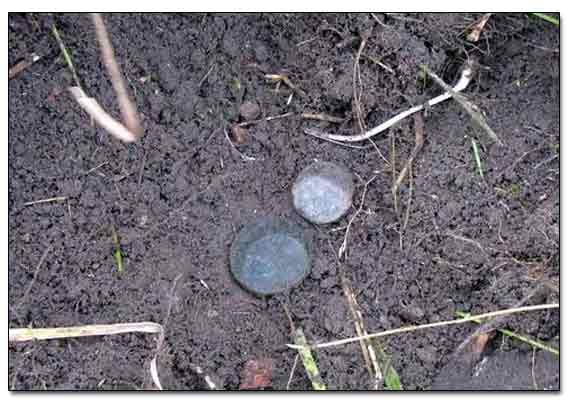 Russian Imperial Coins Found