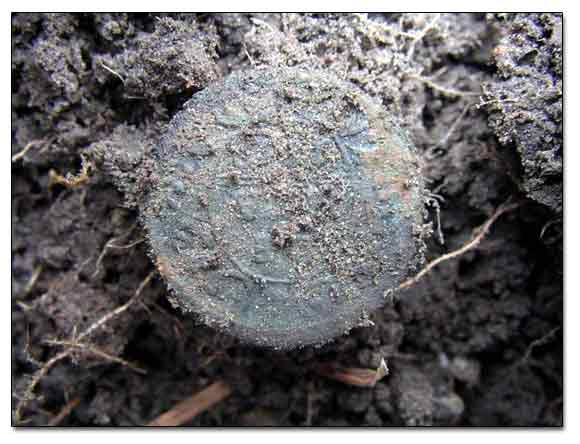 Metal Detecting Coin Find