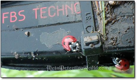 Minelab FBS Metal Detecting Technology and Ladybugs