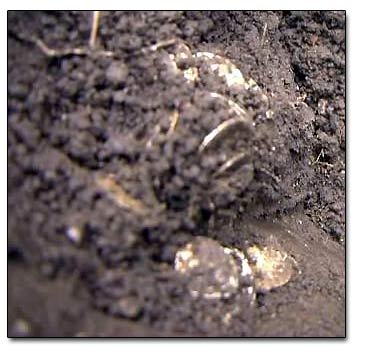 Part Of Silver Coin Cache.