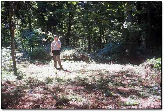 back in 2001