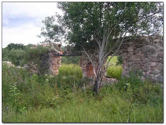 Ruins Of Old Homestead