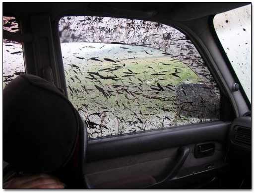 Dirt Covered the windows of Toyota Land Cruiser